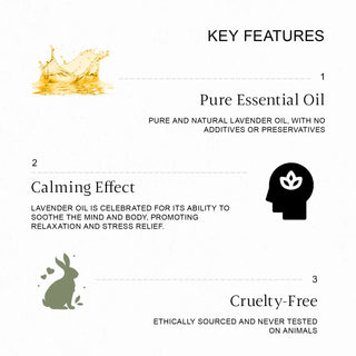 Therapeutic lavender oil with anti-inflammatory benefits to relieve stress and anxiety