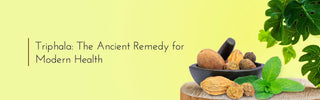 Triphala: The Ancient Remedy for Modern Health - Vrishvrindaa