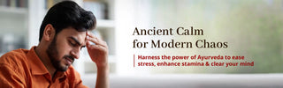 Stress Relief: Ashwagandha Capsules Boost Energy