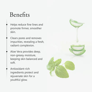 Benefits of Vrishvrindaa Ayurvedic Cleanser – improves elasticity, removes dullness, and enhances glow