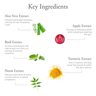 Clay mask ingredients – neem, aloe vera, tulsi, turmeric for oil control