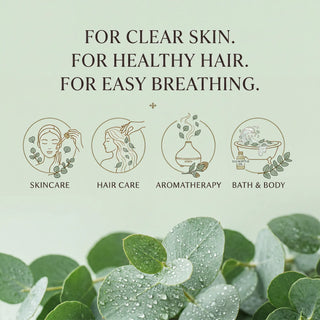 Eucalyptus Oil - Clear Skin & Healthy Hair