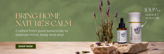 Vrishvrindaa Lavender essential oil for mind and body relaxation.