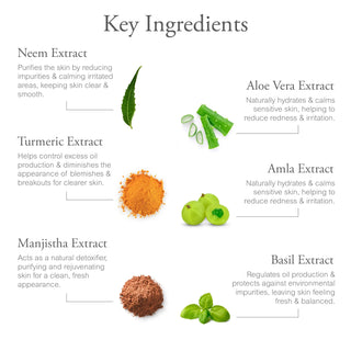 Herbal ingredients in Vrishvrindaa Cleanser – basil, neem, and nourishing plant extracts