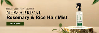 Vrishvrindaa New Arrival Rosemary and Rice Hair Mist that helps grow and strengthen hair naturally.